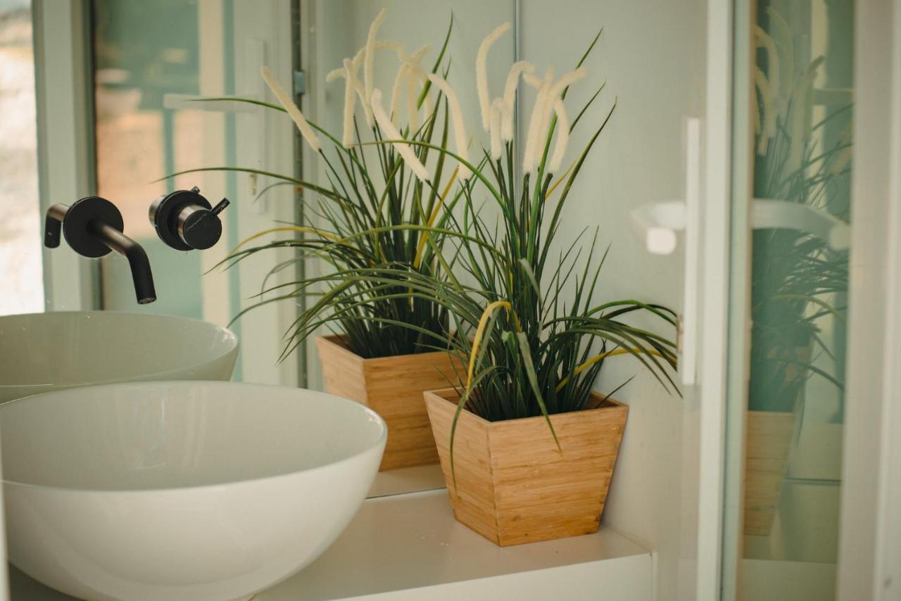 A House In Estoril - Adults Only Hotel Luaran gambar Vriesea vriesea